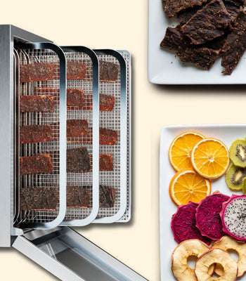 Best Dehydrator Recipes for Harvest Season
