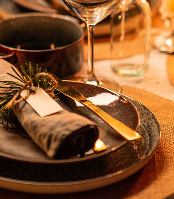 Dinner party guide
