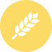 Wheat